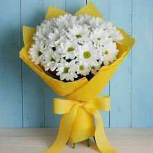 Букет цветов из:  Хризантемы в Юргамыш
