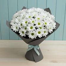 Букет цветов из:  Хризантемы в Юргамыш