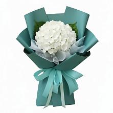 Букет цветов из:  Гортензия в Юргамыш